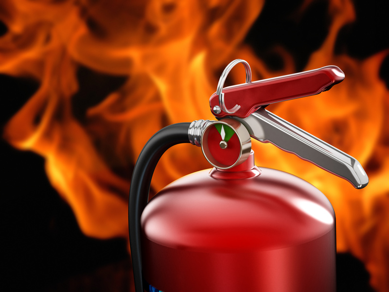 California Homeowners Focusing On Firescaping Their Properties - The ...