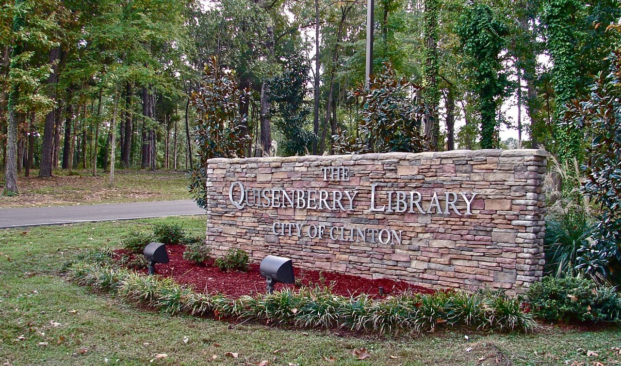Browsing appointments at library - The Clinton Courier