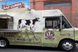 cow and curd