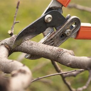How to Prepare Your Home for Bad Weather