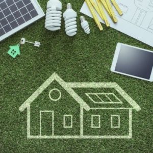 How to Go Green in Construction