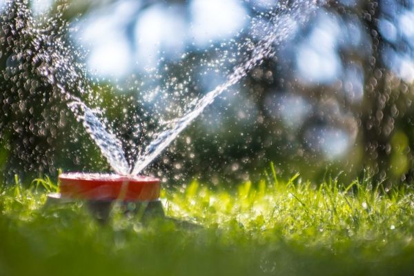 5 Important Ways to Combat Droughts and Conserve Water