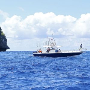 A Guide to the Best Sport Fish in the World
