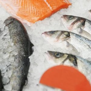 Steps in the Cold Supply Chain