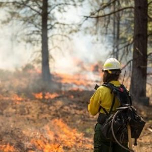 What To Know Before Becoming a Wildland Firefighter