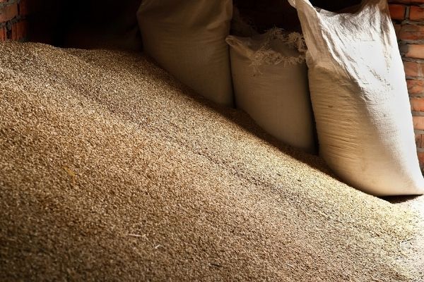 Why Grains Are Dangerous During Manufacturing