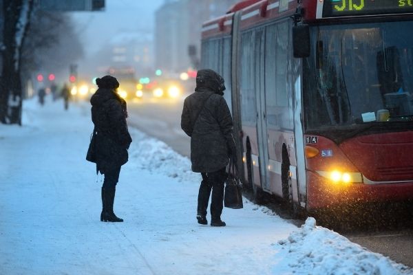Ways To Be More Eco-Friendly in the Winter