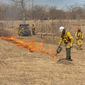 The Many Benefits of Controlled Burns