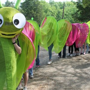 calliope the caterpillar