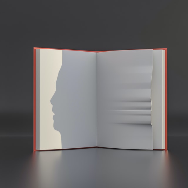book and shadow art