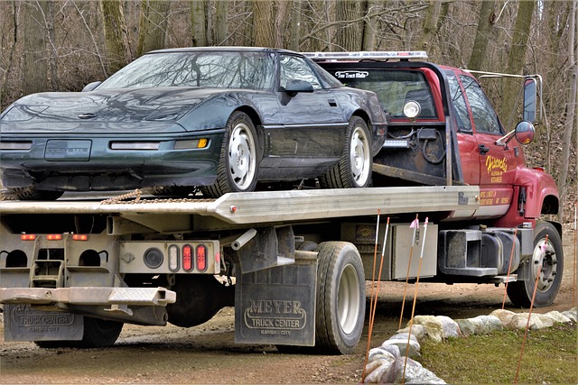car shipping