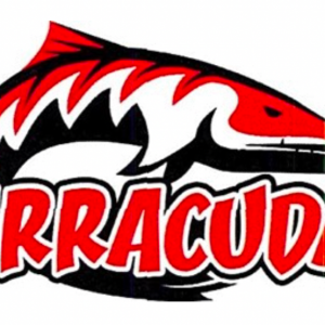 Barracuda Swim Team