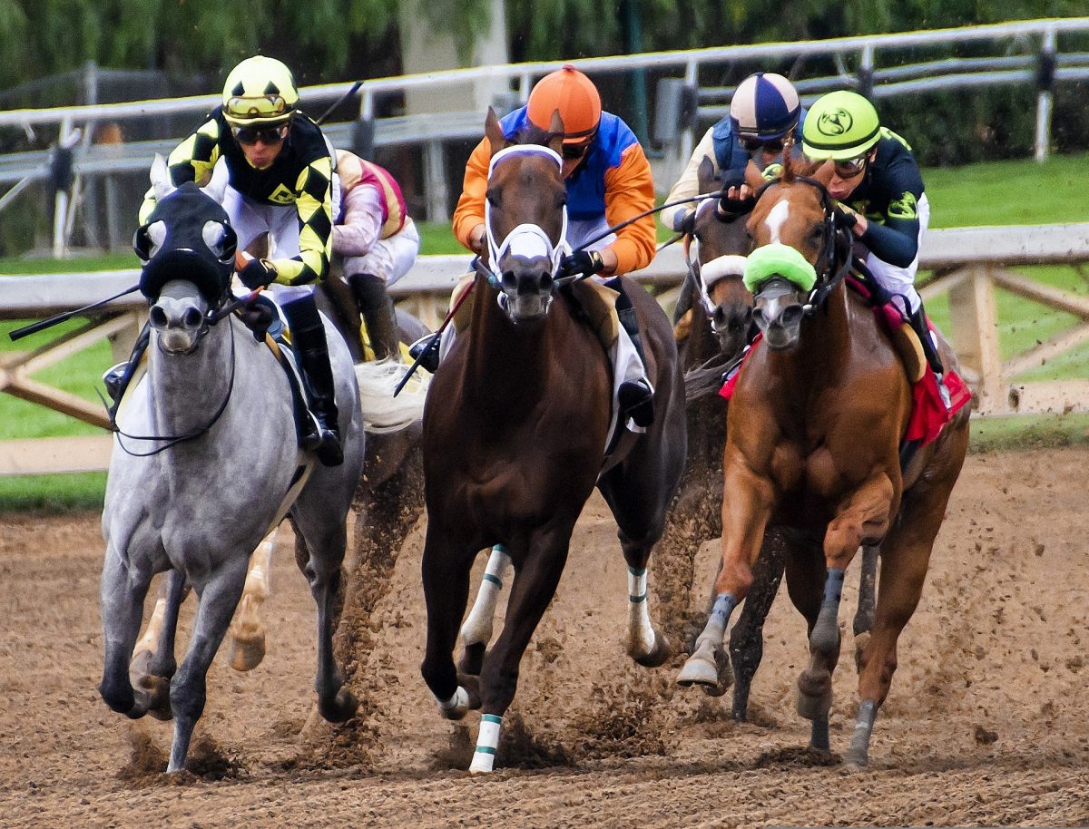 horses racing in a race