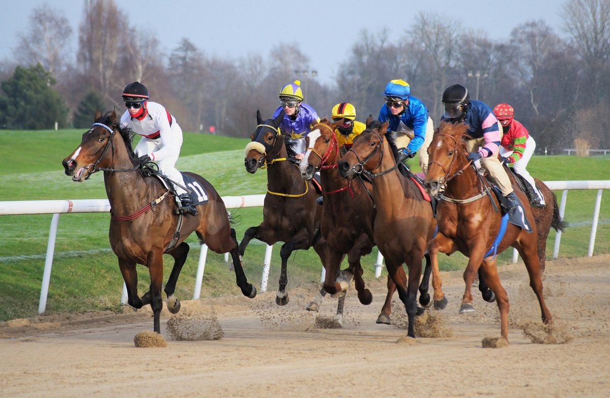 horse racing