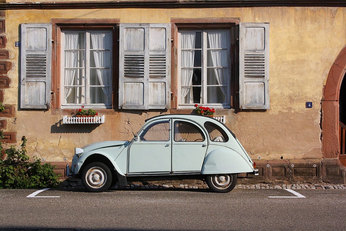 Beetle
