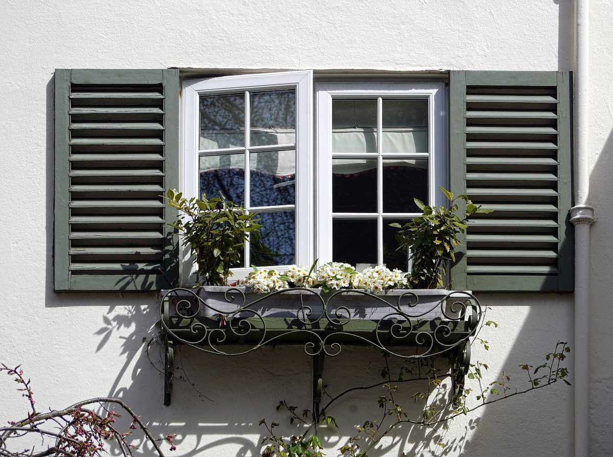 Window