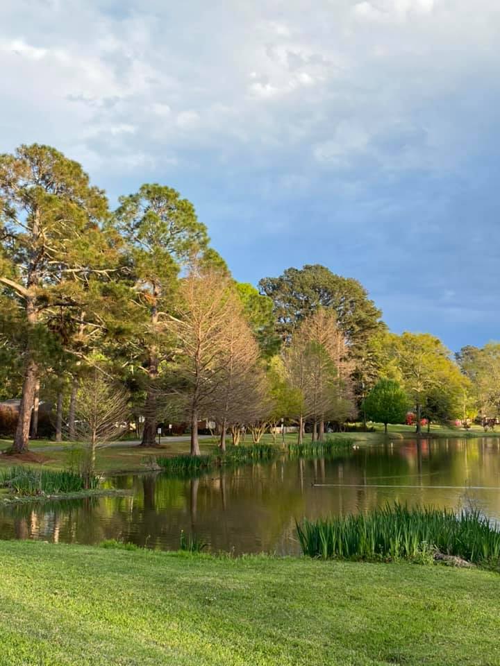 Lakeview Heights Homeowners Association plans May 6 “Save the Lake