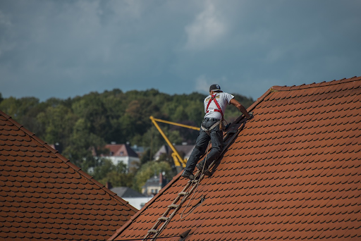 Guy on Roof