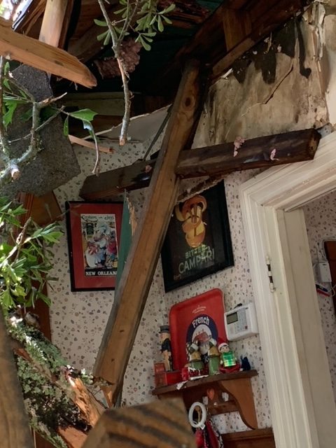 Old oak tree falls onto Olde Towne house