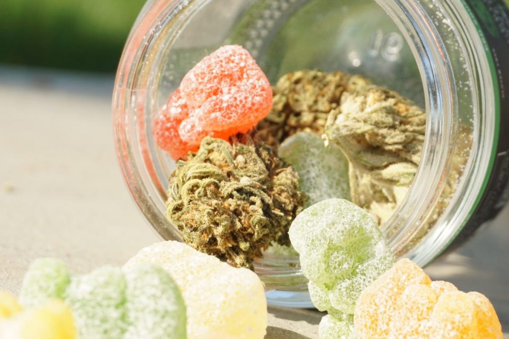 The Sweet Side of CBDA: Exploring Gummy Benefits