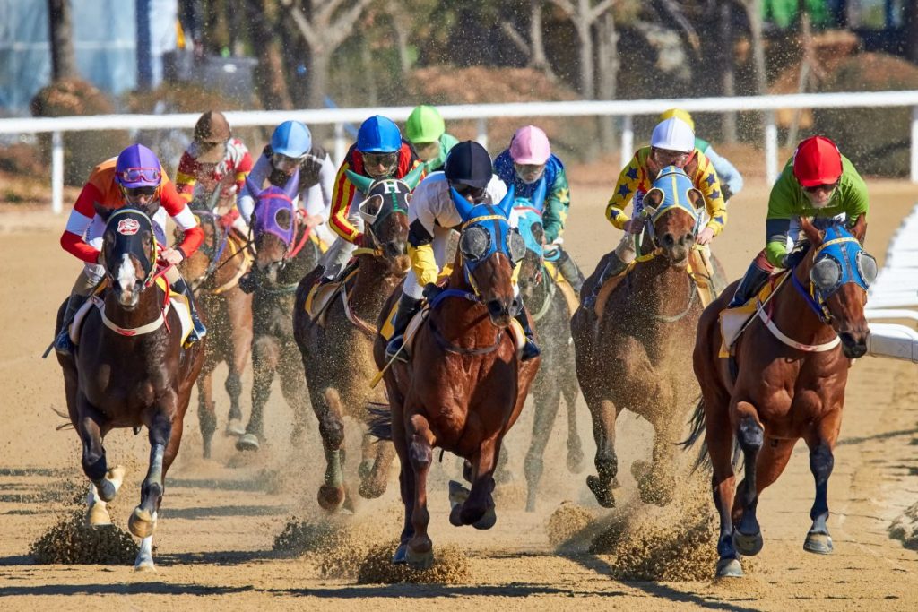 How to Find The Best Horse Racing Betting Sites