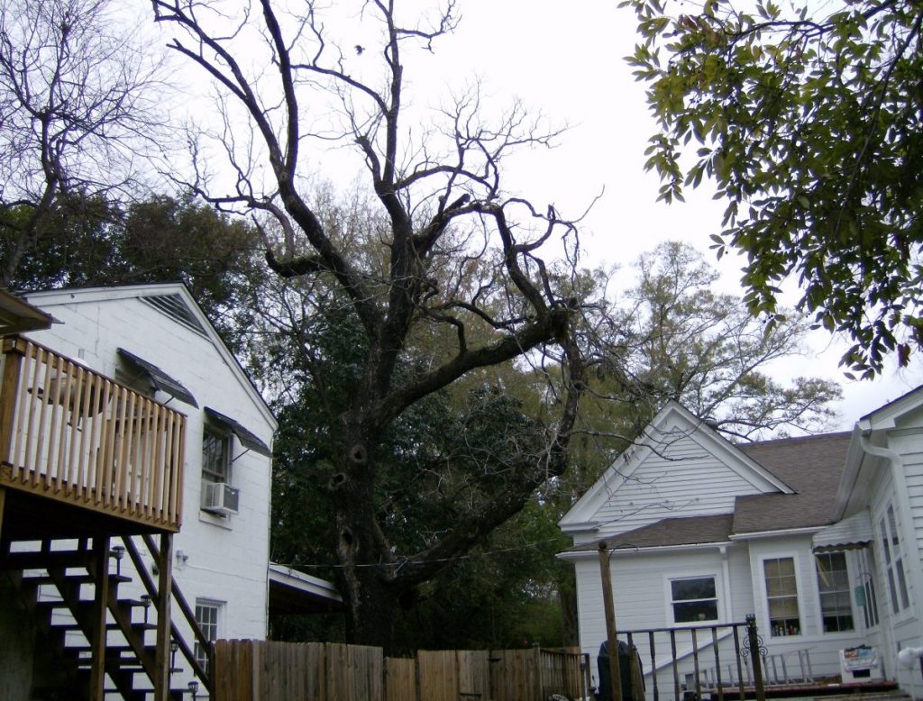 Our Olde House : January 2024