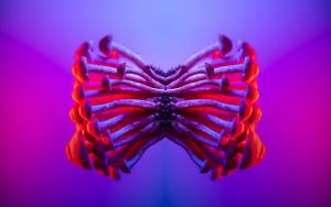 A Comprehensive Guide When You Buy LSD Canada