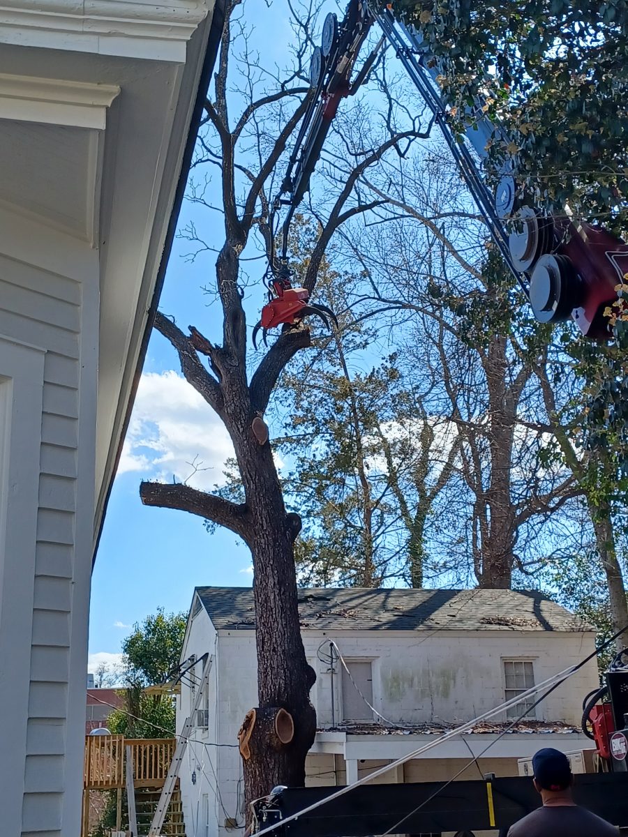 Our Olde House: March 2024