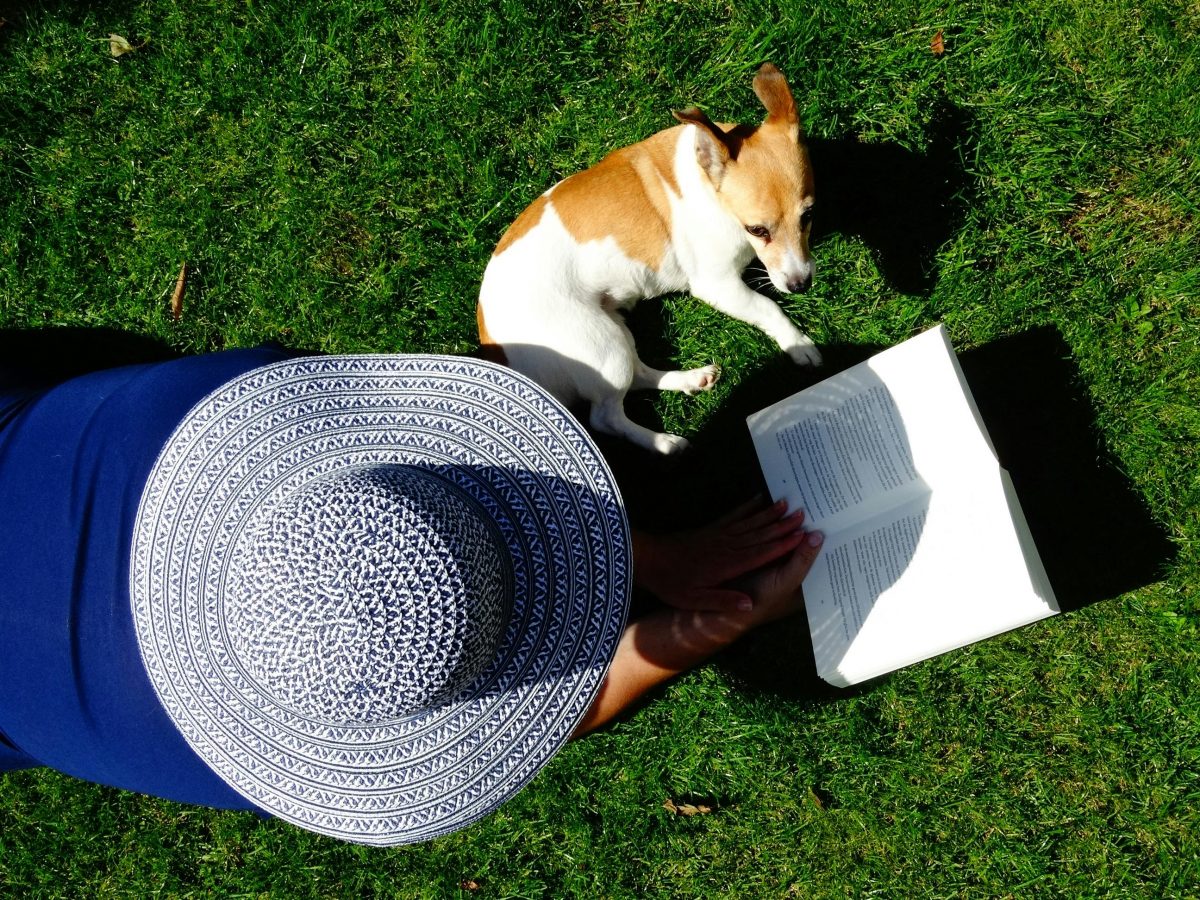 Pet Insurance Demystified: What Every Pet Owner Needs to Know