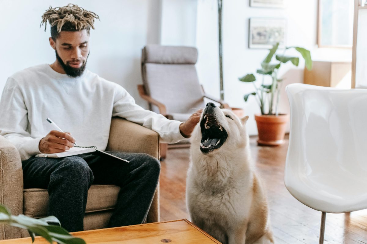 Pet Insurance Demystified: What Every Pet Owner Needs to Know