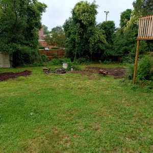 Our Olde House: May 2024