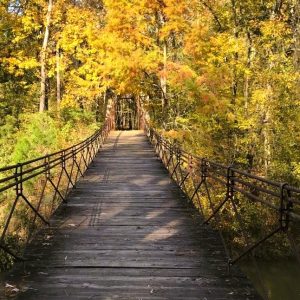 LeFleur's Bluff State Park, located just minutes from Interstate 55 in Jackson, offers beautiful wooded areas in which to hike and enjoy some peace and quiet in a convenient location.