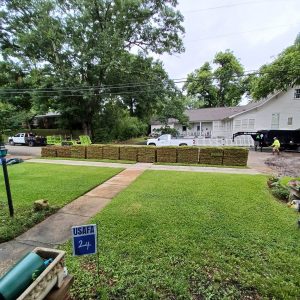 Our Olde House: June 2024