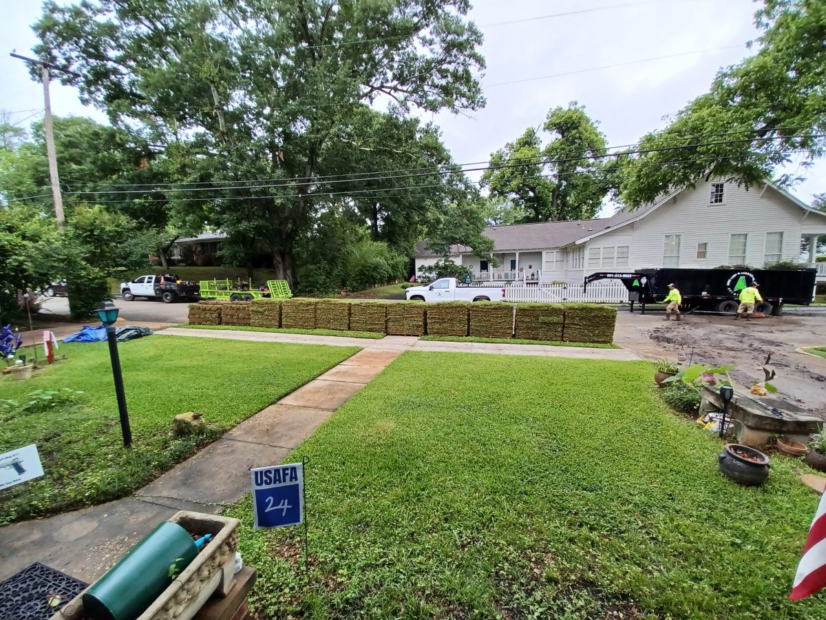 Our Olde House: June 2024