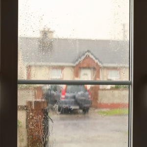 Why Water Damage Often Requires Mold Removal in Vaughan