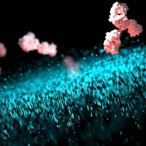 Livagen Peptide: Potential and Mechanisms in Biological Systems