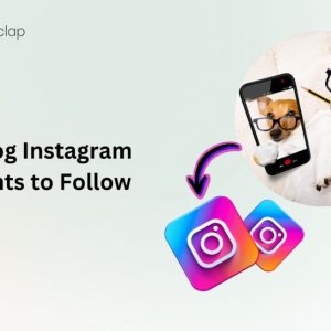 15 Top Dog Instagram Accounts to Follow in 2024