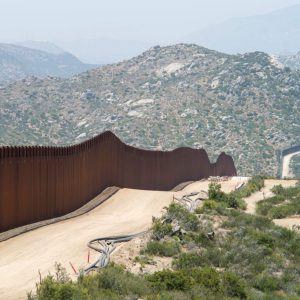 The Importance of Legal Representation in Immigration Appeals