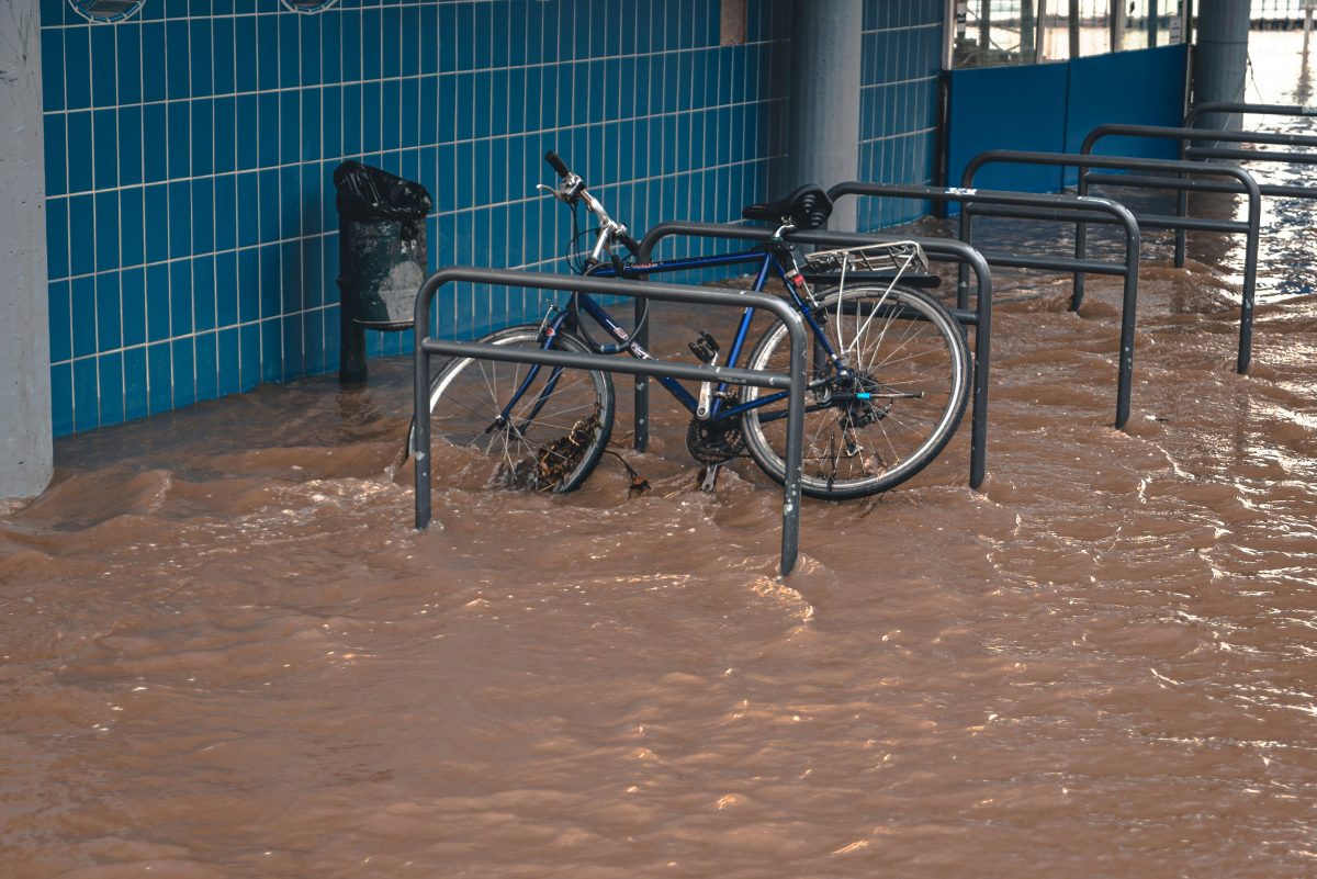 How Water Damage Restoration Services Handle Contaminated Water Scenarios?
