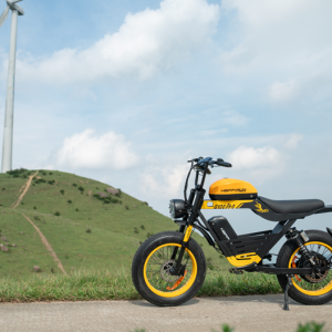 Electric Motorcycle for Adults: A Perfect Fit for Every Fitness Level