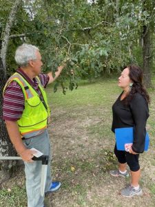Steve Dicke and Donna Yowell examine a persimmon tree at the Clinton Visitor Center as part of an effort to designate the center as a certified arboretum.