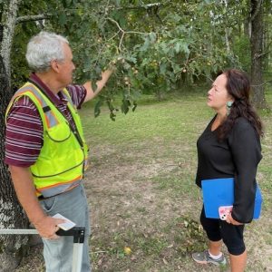 Steve Dicke and Donna Yowell examine a persimmon tree at the Clinton Visitor Center as part of an effort to designate the center as a certified arboretum.