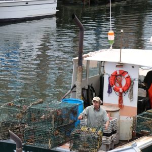 The Ultimate Checklist for Lobster Shipping Best Practices