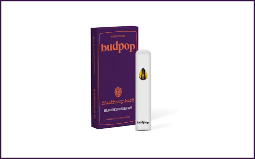 elf bar vape uk Terpboys Indica Delta 8 THC Disposable Vape Device main image 1
