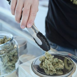 What to Expect When Visiting California Cannabis Dispensaries for the First Time