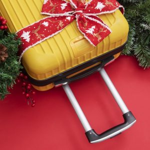 Living Young plans holiday trip to Texas cities