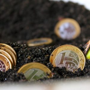 Advanced Staking Strategies for Optimizing Your FTT Rewards