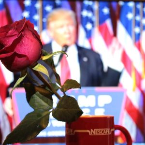 How Could Election Results Impact the Future of USD Rates?