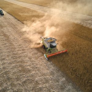Enhancing Agro-Industry’s Efficiency Through Satellite Monitoring