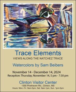 Visitor Center Ad sam exhibit